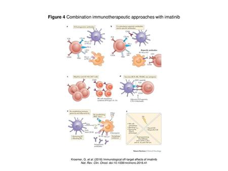 Figure 4 Combination immunotherapeutic approaches with imatinib