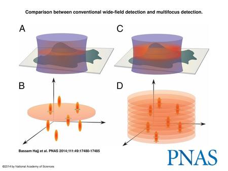 Comparison between conventional wide-field detection and multifocus detection. Comparison between conventional wide-field detection and multifocus detection.