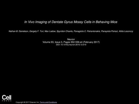 In Vivo Imaging of Dentate Gyrus Mossy Cells in Behaving Mice