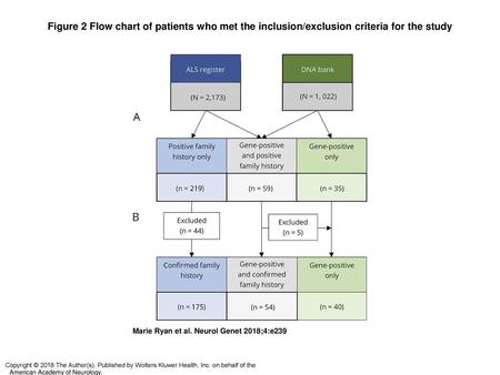 Figure 2 Flow chart of patients who met the inclusion/exclusion criteria for the study Flow chart of patients who met the inclusion/exclusion criteria.
