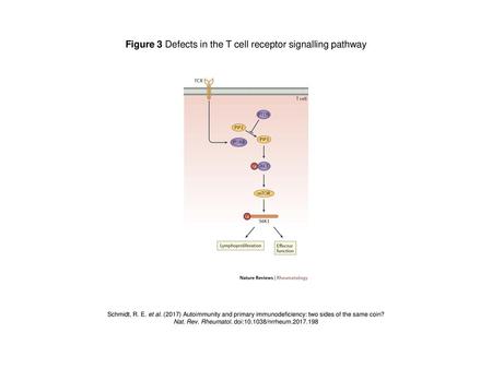 Figure 3 Defects in the T cell receptor signalling pathway