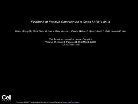 Evidence of Positive Selection on a Class I ADH Locus