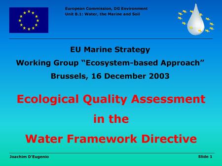 Ecological Quality Assessment in the Water Framework Directive