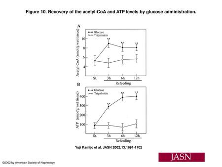 Figure 10. Recovery of the acetyl-CoA and ATP levels by glucose administration. Figure 10. Recovery of the acetyl-CoA and ATP levels by glucose administration.