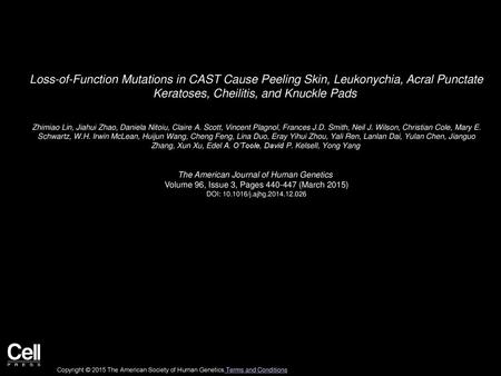 Loss-of-Function Mutations in CAST Cause Peeling Skin, Leukonychia, Acral Punctate Keratoses, Cheilitis, and Knuckle Pads  Zhimiao Lin, Jiahui Zhao, Daniela.
