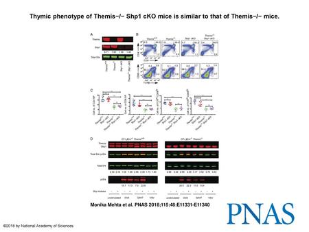 Thymic phenotype of Themis−/− Shp1 cKO mice is similar to that of Themis−/− mice. Thymic phenotype of Themis−/− Shp1 cKO mice is similar to that of Themis−/−