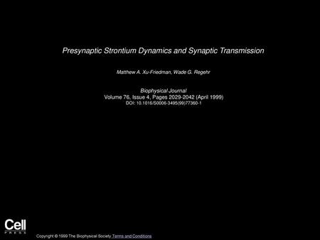 Presynaptic Strontium Dynamics and Synaptic Transmission