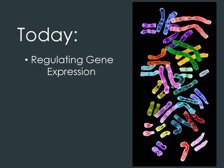 Today: Regulating Gene 	Expression.
