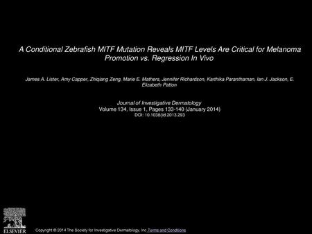 A Conditional Zebrafish MITF Mutation Reveals MITF Levels Are Critical for Melanoma Promotion vs. Regression In Vivo  James A. Lister, Amy Capper, Zhiqiang.
