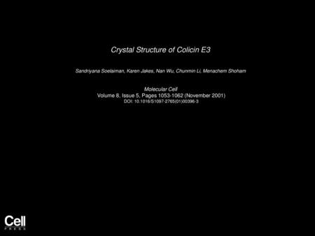 Crystal Structure of Colicin E3
