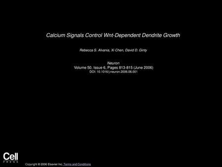Calcium Signals Control Wnt-Dependent Dendrite Growth