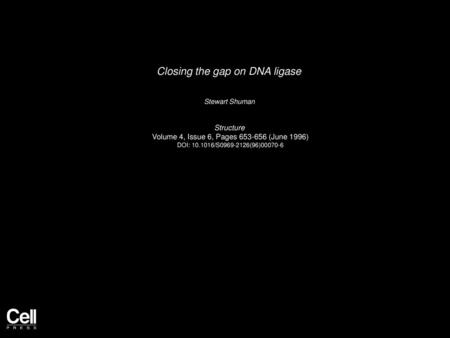 Closing the gap on DNA ligase
