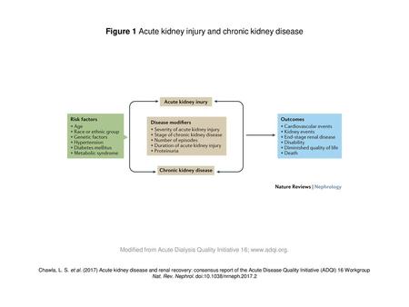 Figure 1 Acute kidney injury and chronic kidney disease