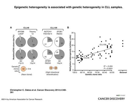Epigenetic heterogeneity is associated with genetic heterogeneity in CLL samples. Epigenetic heterogeneity is associated with genetic heterogeneity in.