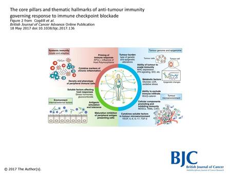 The core pillars and thematic hallmarks of anti-tumour immunity governing response to immune checkpoint blockade Figure 2 from Cogdill et al. British.
