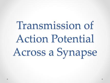 Transmission of Action Potential Across a Synapse