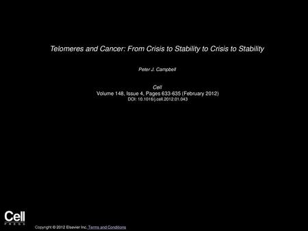 Telomeres and Cancer: From Crisis to Stability to Crisis to Stability