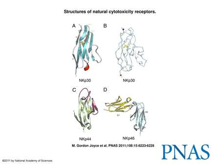 Structures of natural cytotoxicity receptors.