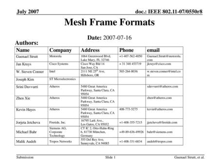 Mesh Frame Formats Date: Authors: July 2007 March 2007