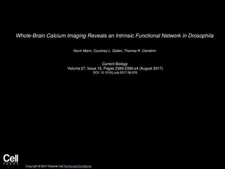Kevin Mann, Courtney L. Gallen, Thomas R. Clandinin  Current Biology 