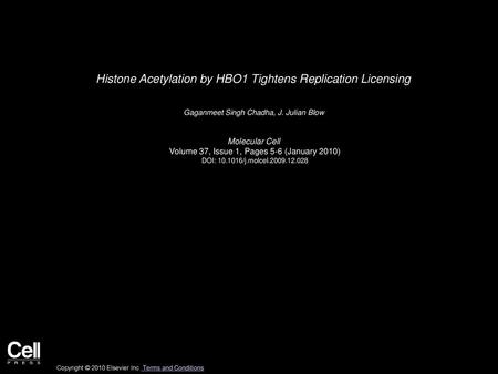 Histone Acetylation by HBO1 Tightens Replication Licensing