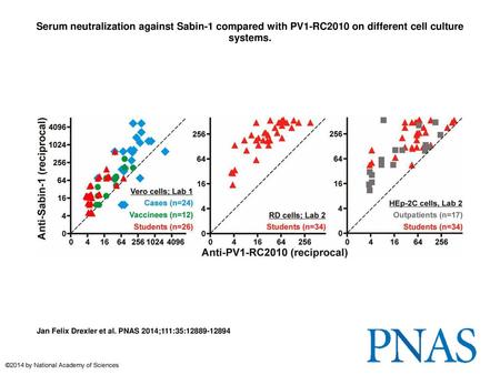 Serum neutralization against Sabin-1 compared with PV1-RC2010 on different cell culture systems. Serum neutralization against Sabin-1 compared with PV1-RC2010.