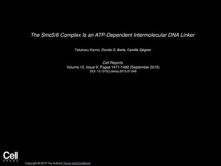 The Smc5/6 Complex Is an ATP-Dependent Intermolecular DNA Linker