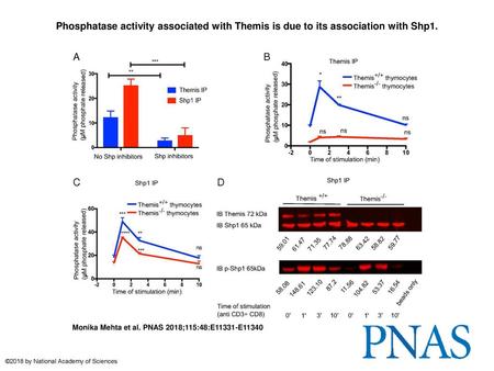 Phosphatase activity associated with Themis is due to its association with Shp1. Phosphatase activity associated with Themis is due to its association.