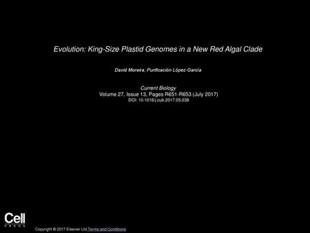 Evolution: King-Size Plastid Genomes in a New Red Algal Clade