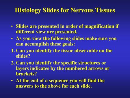 Histology Slides for Nervous Tissues