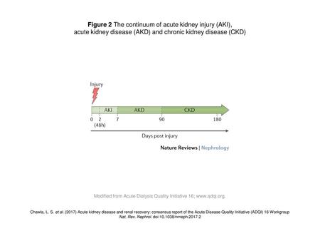 Figure 2 The continuum of acute kidney injury (AKI),