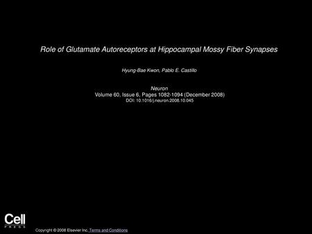 Role of Glutamate Autoreceptors at Hippocampal Mossy Fiber Synapses