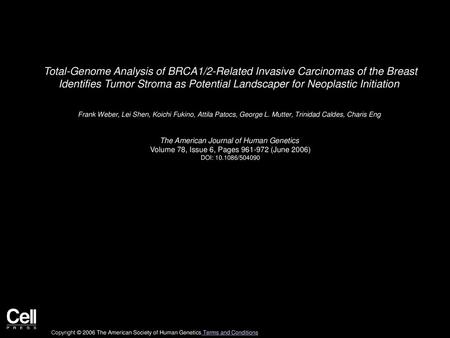 Total-Genome Analysis of BRCA1/2-Related Invasive Carcinomas of the Breast Identifies Tumor Stroma as Potential Landscaper for Neoplastic Initiation 