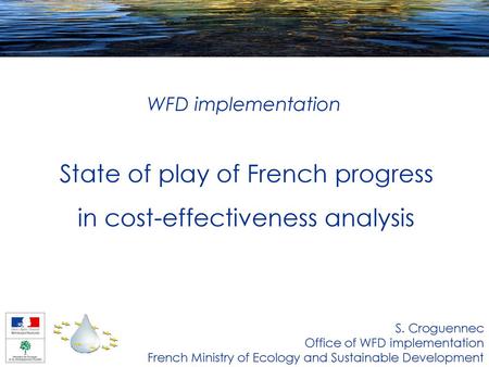 State of play of French progress in cost-effectiveness analysis