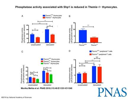 Phosphatase activity associated with Shp1 is reduced in Themis−/− thymocytes. Phosphatase activity associated with Shp1 is reduced in Themis−/− thymocytes.