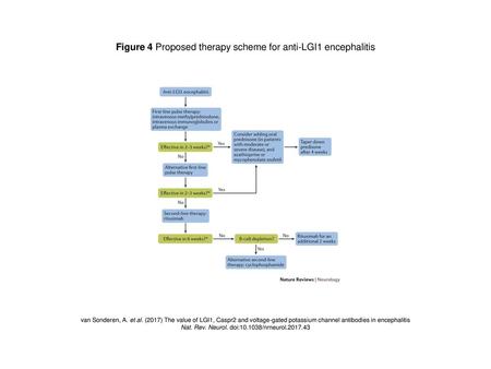 Figure 4 Proposed therapy scheme for anti-LGI1 encephalitis
