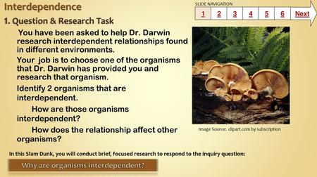 Interdependence 1. Question & Research Task