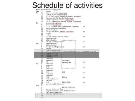 Schedule of activities