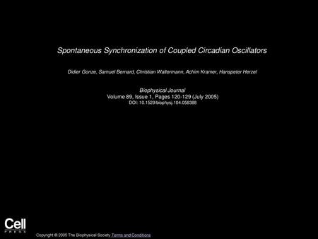 Spontaneous Synchronization of Coupled Circadian Oscillators