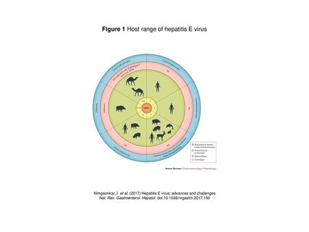 Figure 1 Host range of hepatitis E virus