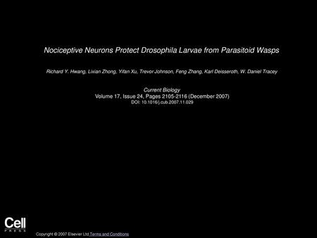 Nociceptive Neurons Protect Drosophila Larvae from Parasitoid Wasps