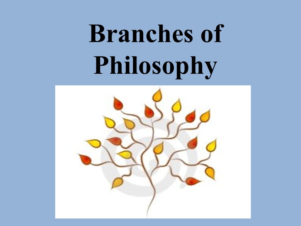 the five branches of philosophy