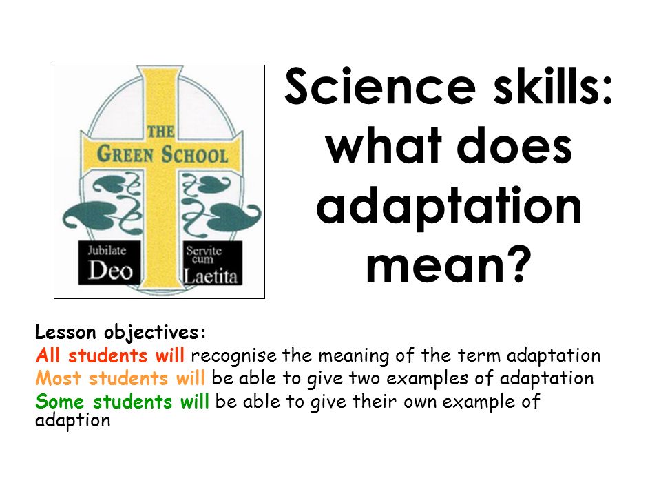 Science skills: what does adaptation mean? Lesson objectives: All students  will recognise the meaning of the term adaptation Most students will be  able. - ppt download