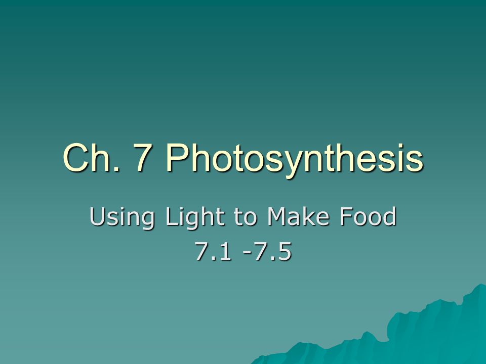 Ch 7 Photosynthesis Using Light To Make Food Ppt Download