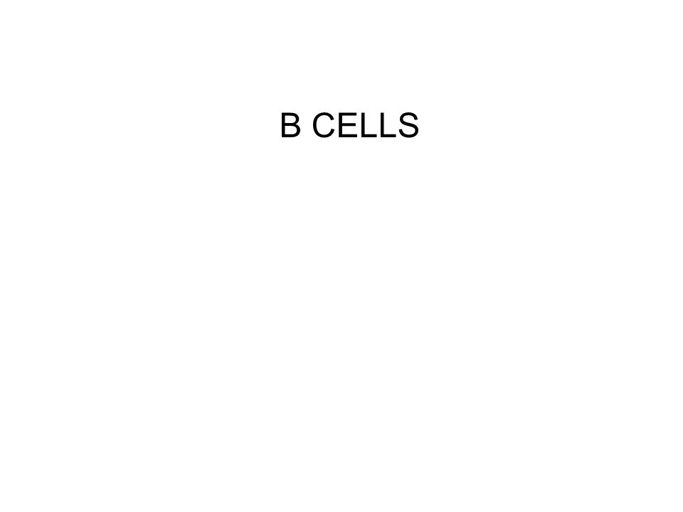 basic immunology abbas chapter 1-2