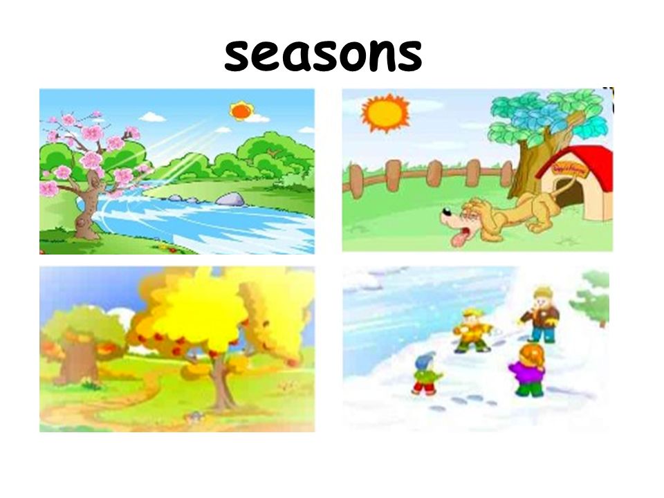 Seasons. - ppt video online download