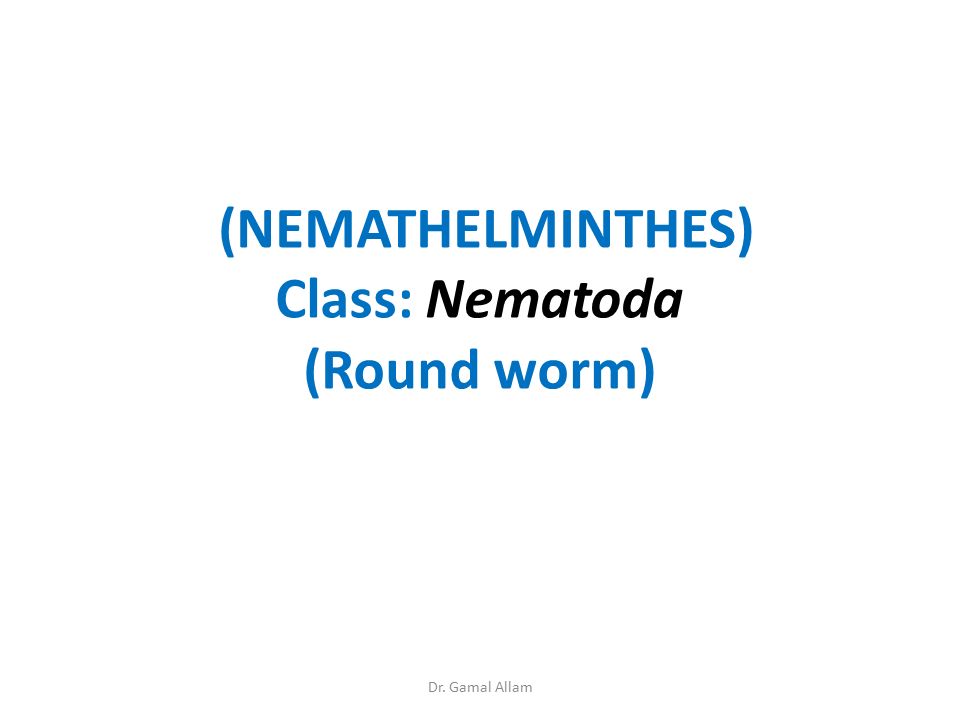 phylum nemathelminthes ppt a pinworms fejlődési ciklusa és kezelése
