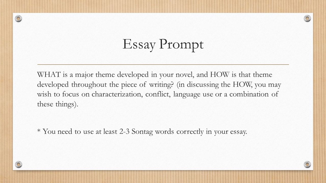 book review essay prompt