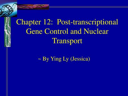 Chapter 12: Post-transcriptional Gene Control and Nuclear Transport