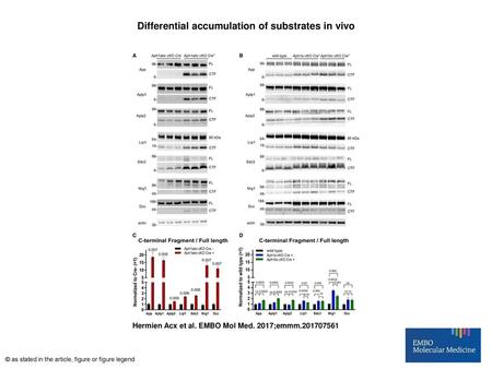 Differential accumulation of substrates in vivo